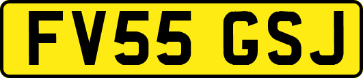 FV55GSJ