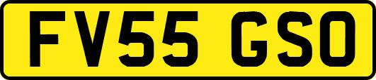 FV55GSO