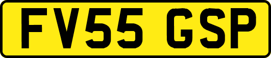 FV55GSP
