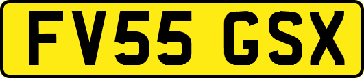 FV55GSX