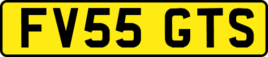 FV55GTS