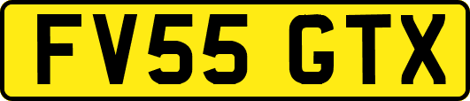 FV55GTX
