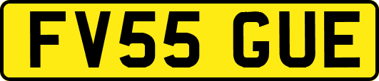 FV55GUE