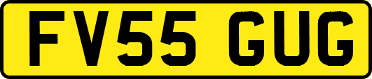 FV55GUG