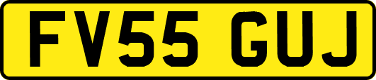 FV55GUJ