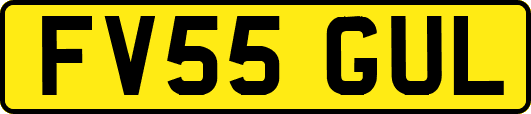 FV55GUL