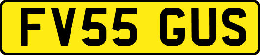 FV55GUS