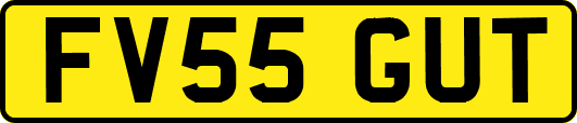 FV55GUT