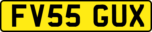 FV55GUX