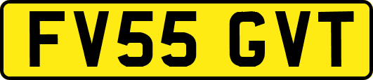 FV55GVT