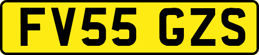 FV55GZS