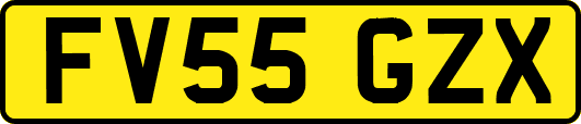 FV55GZX
