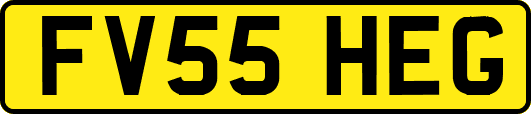 FV55HEG