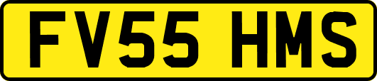 FV55HMS