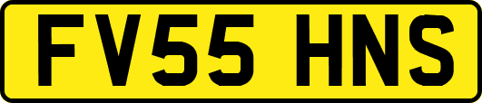FV55HNS