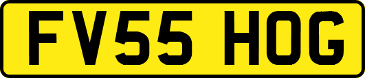 FV55HOG