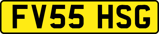 FV55HSG