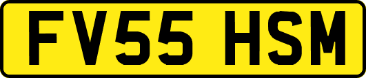FV55HSM