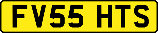 FV55HTS