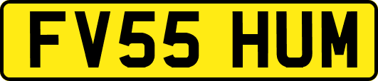 FV55HUM