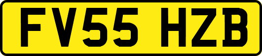 FV55HZB