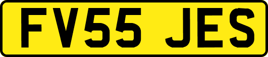 FV55JES