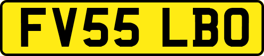 FV55LBO