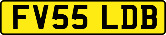 FV55LDB