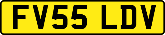 FV55LDV