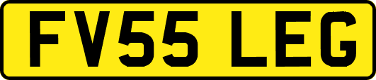FV55LEG