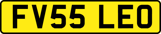 FV55LEO
