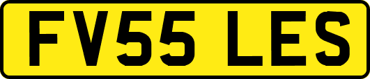 FV55LES