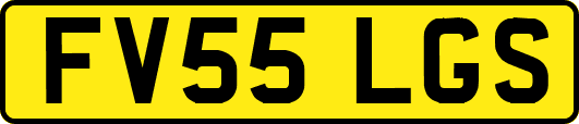 FV55LGS