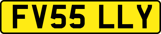 FV55LLY