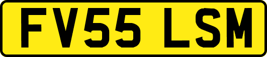 FV55LSM