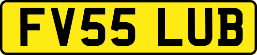 FV55LUB