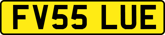 FV55LUE