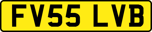 FV55LVB