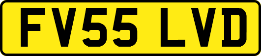 FV55LVD