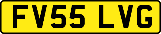 FV55LVG