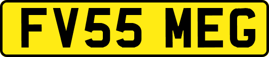 FV55MEG