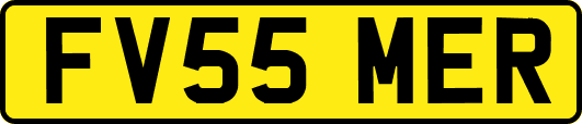 FV55MER