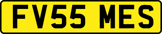 FV55MES