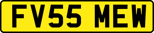 FV55MEW