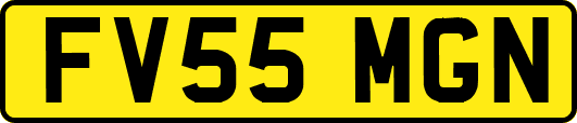 FV55MGN