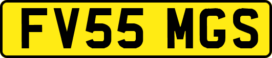 FV55MGS