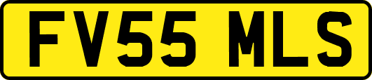 FV55MLS