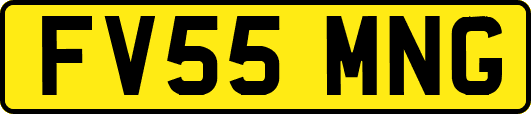 FV55MNG