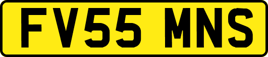 FV55MNS