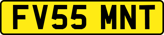 FV55MNT